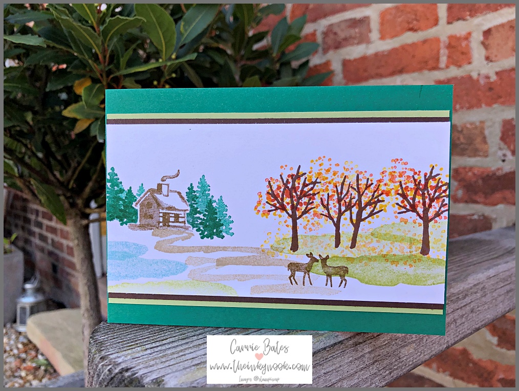 Repurpose your Christmas stamp sets so they can be used all year round.  The Snow Front stamp set is an ideal example to use and see how in this blog post from Carrie at The Inky Nook