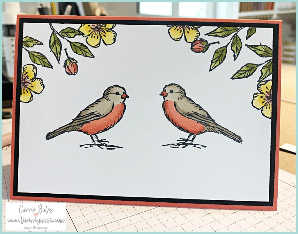 Calypso coral coloured card with a black layer topped with a white layer.  The white layer shows two robins facing each other and surrounded by yellow flowers and leaves in the top two corners. Finished card shows how you can reverse stamp.
