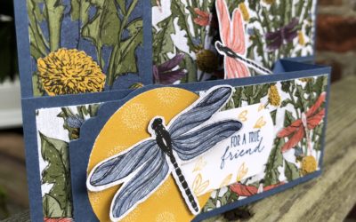 Make a pop up card using Dragonfly Garden papers