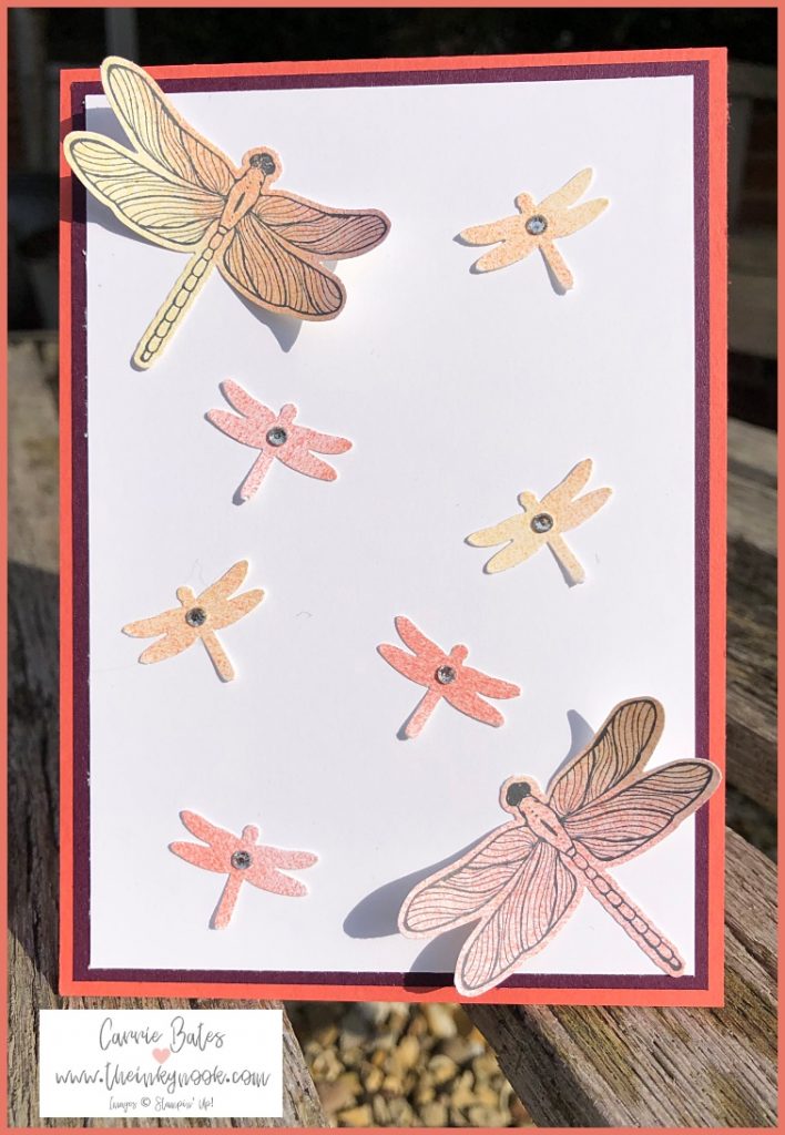 Coral card base topped with a blackberry coloured frame with another white layer on top covered in mini and big dragonflies.  The dragonflies are cut from sponge brayered cardstock.