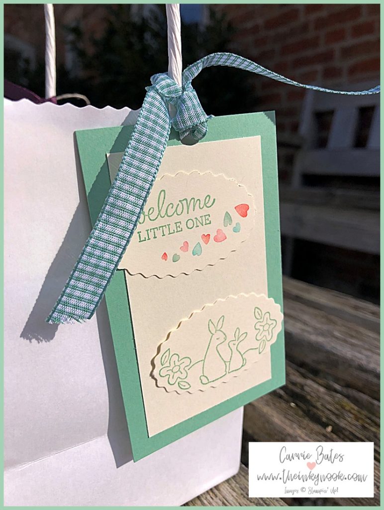 White gift bag with green and white gift tag tied on with green gingham ribbon.  The gift tag says 'welcome little one' and has two little rabbits underneath.  It coordinates with a matching welcome baby card