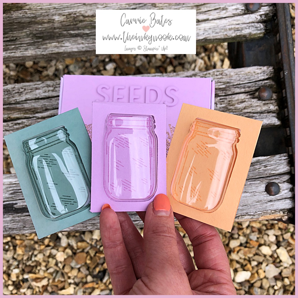 3 mason jar dome holder for storing garden seeds in the mini seed storage box. All different colours - purple, pale green and a soft orange.