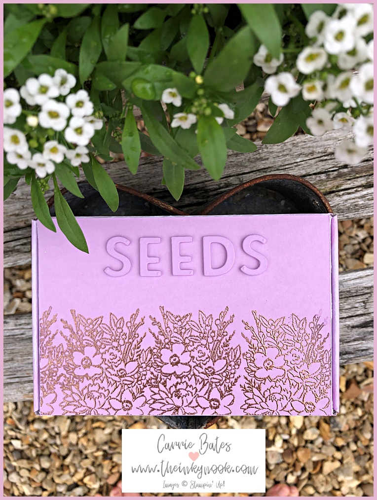 Pale purple seed storage box with copper embossed floral imagery along front cover.  Word rasied on top in same colour spelling out "seeds"