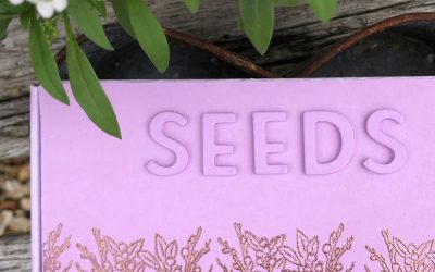 Make your own seed storage box for gardeners