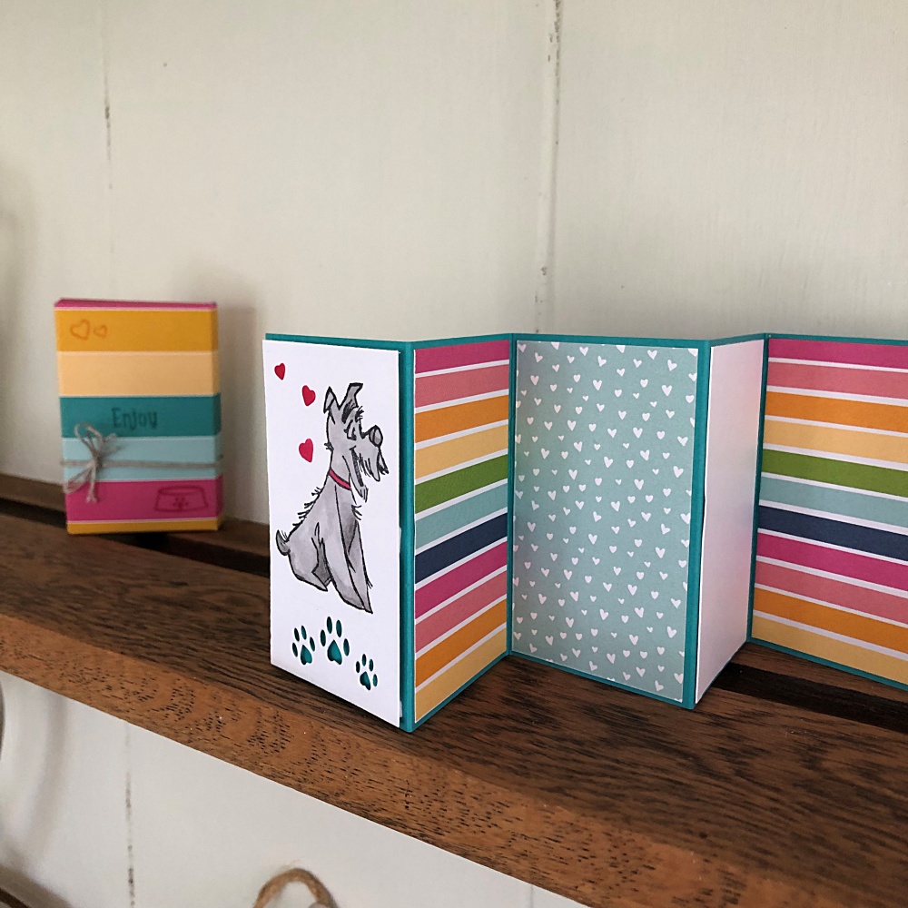 How to make a card in a box - folding card with rainbow papers and front layer has a grey dog surrounded by paw prints and hearts.